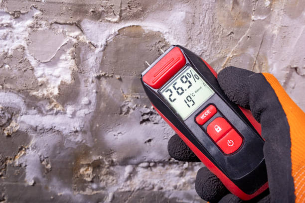 Best Local Mold Removal Service  in Emerson, GA