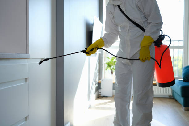 Professional Mold Removal in Emerson, GA