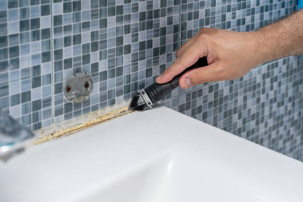 Best Black Mold Removal  in Emerson, GA